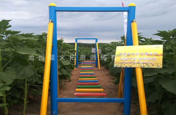 青少年拓展訓(xùn)練器材