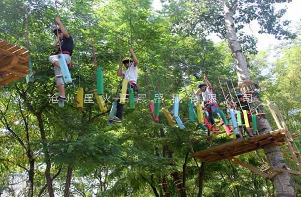 叢林探險樂園