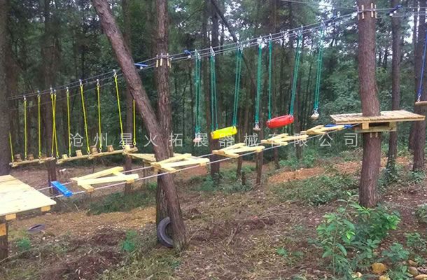 叢林字母橋-叢林拓展設備-叢林探險器械